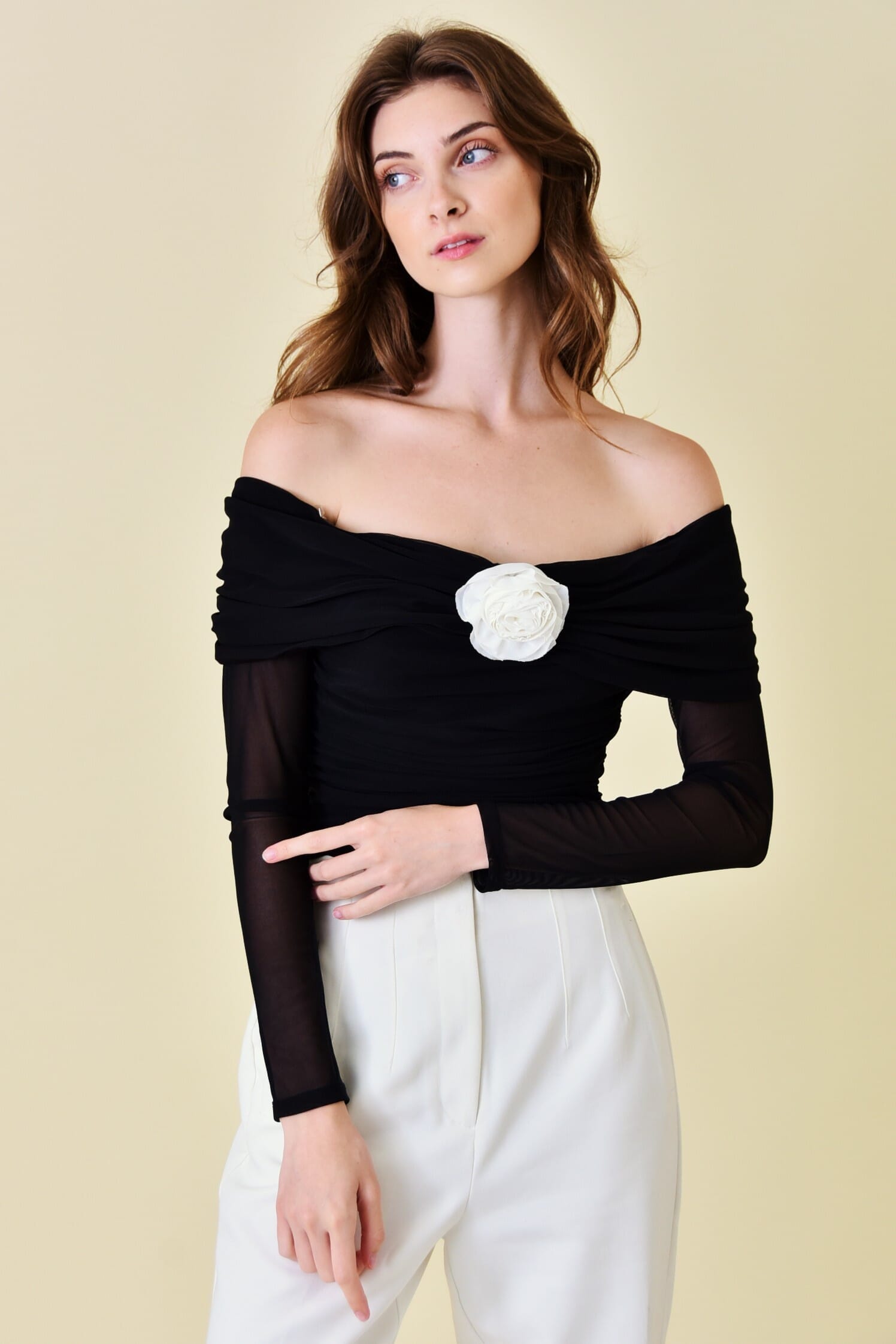 Blusa de hombros descubiertos de malla negra y mangas largas